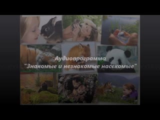 Аудиопрограмма «знакомые и незнакомые насекомые» экм