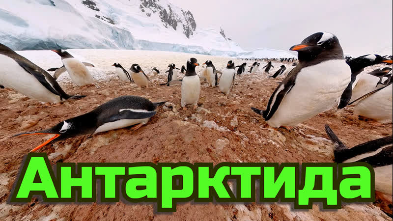 Антарктида красивая география