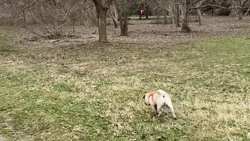 [мама отличника] терпеть женщине моральные унижения просто невыносимо!