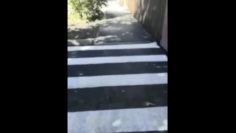 В ростовской области умники установили пешеходные переходы вплотную к частным домам