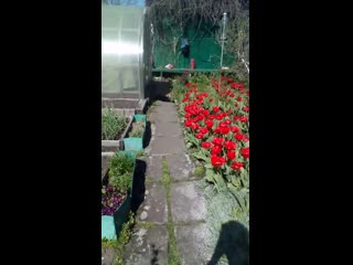 Vid 20190519 103307 mp4