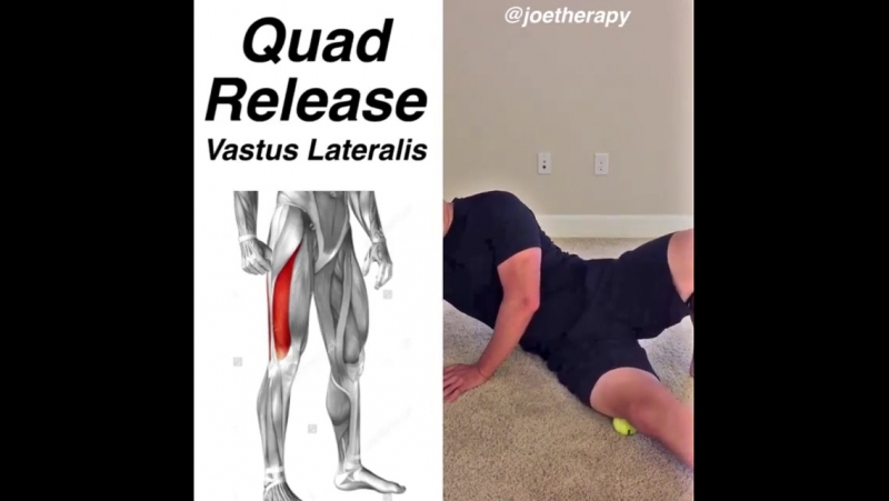 Латеральная широкая мышца бедра