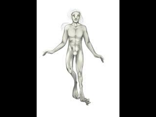 Амфибия (процесс)