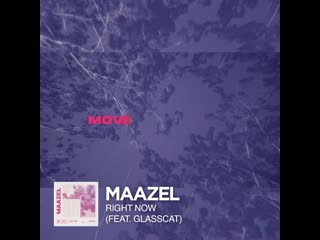 Maazel & glasscat right now