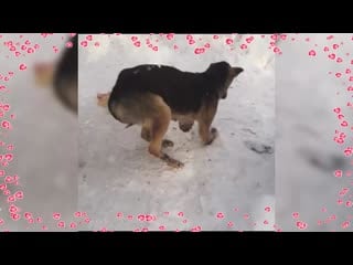 Video 233930 160520 mp4