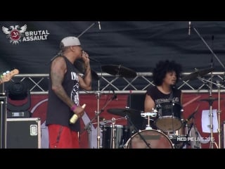 (hed) p e brutal assault live 2015