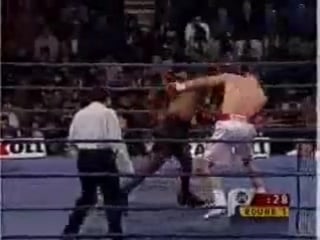 Mike tyson vs andrew golota