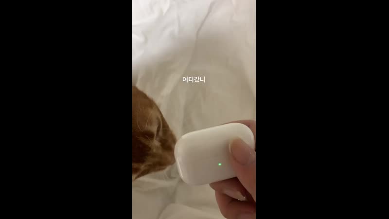 191221 ig stories update (kiff vinxen)