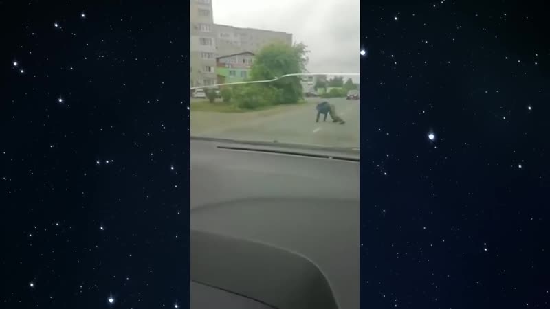 Пограничник