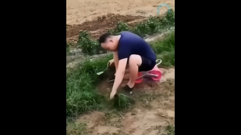 Эта классная приспособа пригодится каждому дачнику