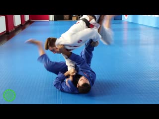 Braulio estima how to do a helicopter arm bar