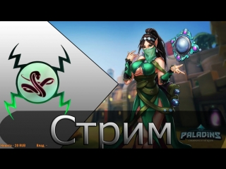 Играем общаемся в paladins(alaster)