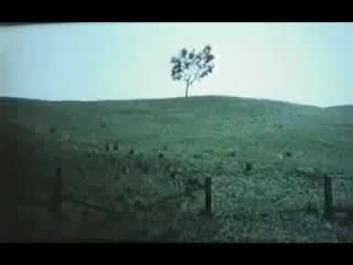 Rotting christ a молодые poem