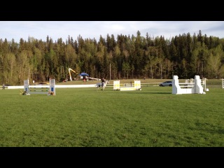 Spruce meadows showing at edmonton