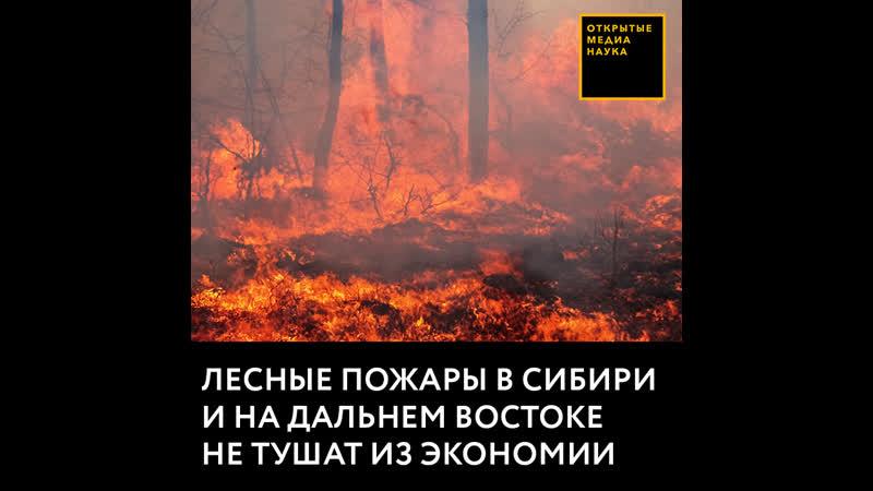 Лесные пожары в сибири и на дальнем востоке не тушат из экономии