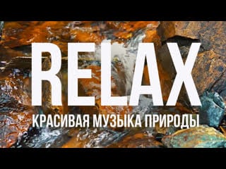 Relax music красивая музыка природы пение птиц для спокойного сна, расслабления и снятия напряжения