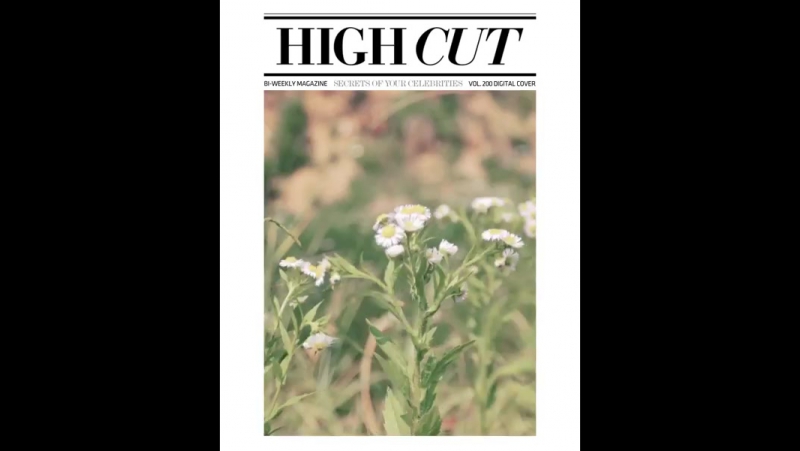 Suzy for high cut vol 200 2017