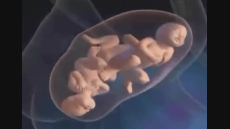 Экстракорпоральное оплодотворение