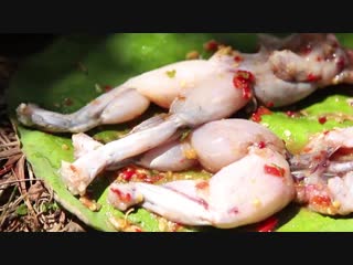 Find frogs in the forest and cooking frog eating delicious