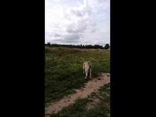 Vid 20200905 134828 mp4