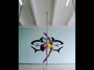 Julia batory polecombo