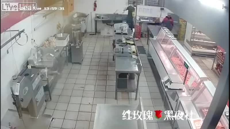 Опасней кошки зверя нет