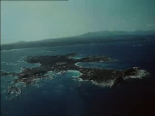 Лиза / liza / la cagna (1972)