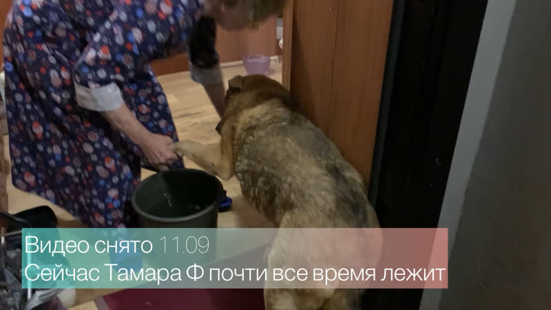 Последняя просьба тамары фёдоровны