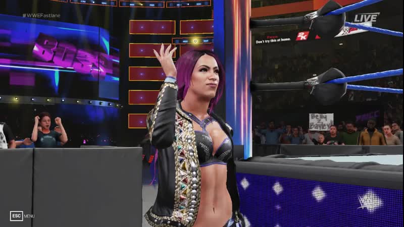 Wwe six tag team woman championship paige&amp;lita(c) vs &amp;bayle single!
