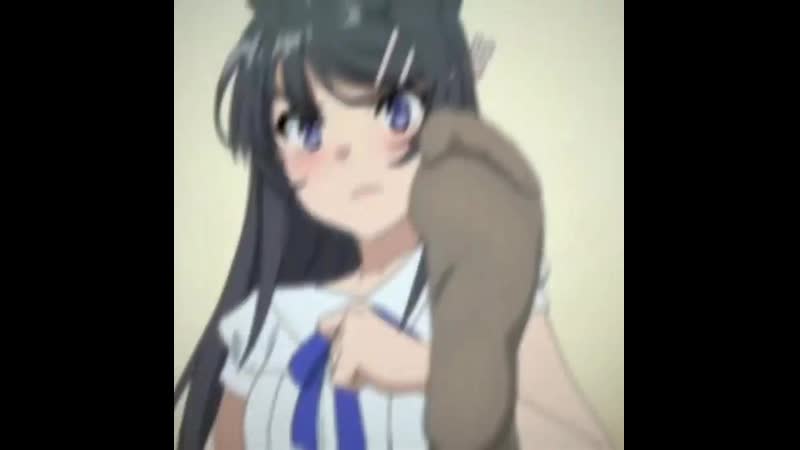 Mai sakurajima [seishun buta yarou wa bunny girl senpai no yume wo minai] vine