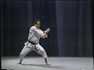 Karate tetsuhiko asai kihon and kata