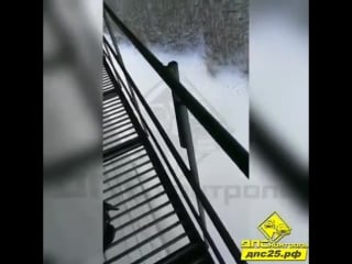 Ужасный случай