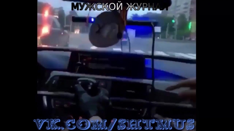 Быки