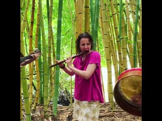 Nuala kennedy in bamboo forest
