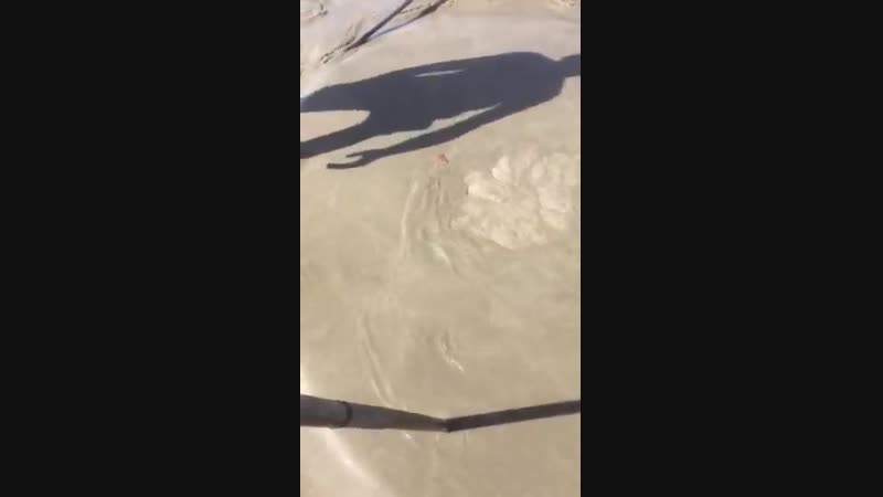 Кинув в котел янтарь