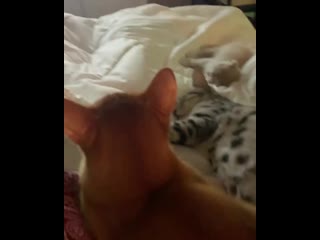 190311 ig stories update (4 nyang )