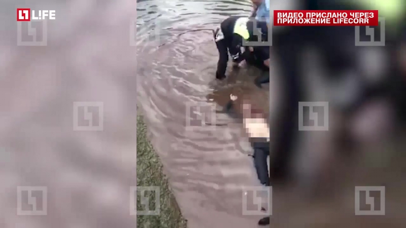В краснодаре участник дтп, зарезавший водителя, признал свою вину