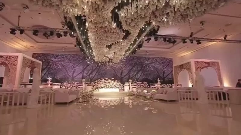 Видеообзоры ресторанов москвы