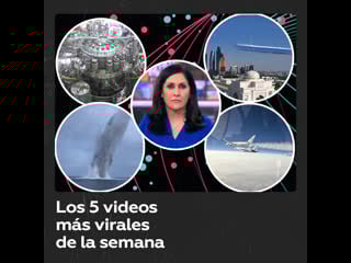 Top 5 de los videos más vistos de la semana en 25 segundos