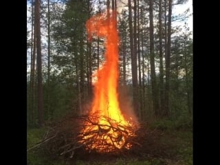 Утилизация отходов