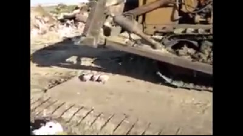 Уничтожение санкционных гусей