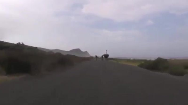 К велогонке присоединился страус