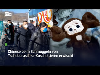 Russland Japanese Beim Schmuggeln Von Tscheburaschka Kuscheltieren Erwischt