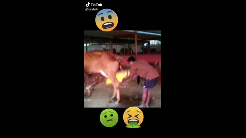 Карантин! уринотерапия против короновируса!!! лайфхак!!!