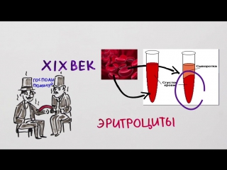 144 чем отличаются группы крови научпок