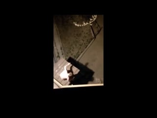 Александр македонский