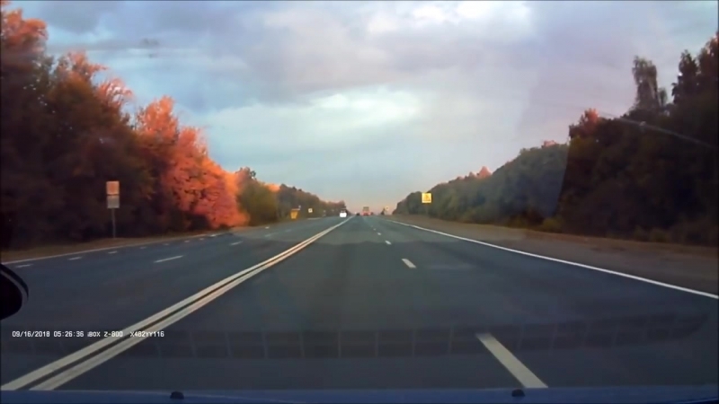 Два барана чуть не молодые постороннего человека