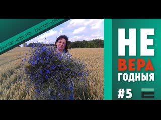 “неверагодныя” гісторыя педагога, якой выпісалі штраф у 30 базавых