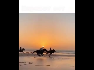 Baige kaz 20201218 150821 0 mp4