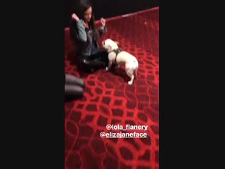 Eliza, lola and sachin (unity days 2019)